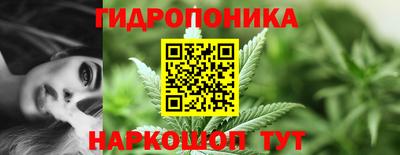 mdma Новозыбков
