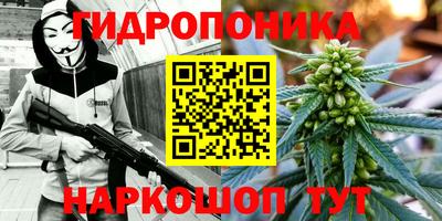 mdma Новозыбков