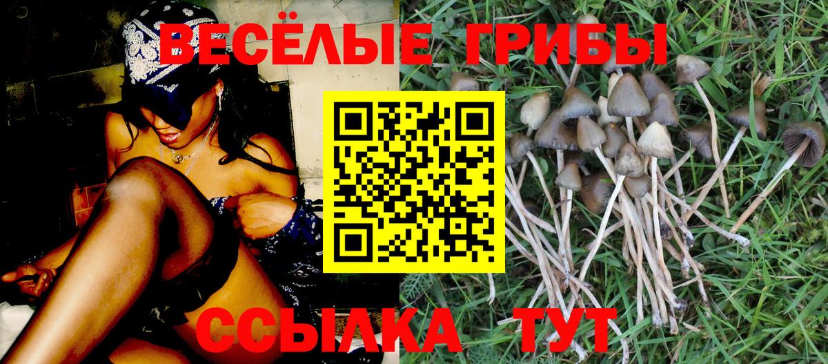 наркота  Вход с VPN  Югорск  Галлюциногенные грибы Magic Shrooms  Галлюциногенные грибы мухоморы 