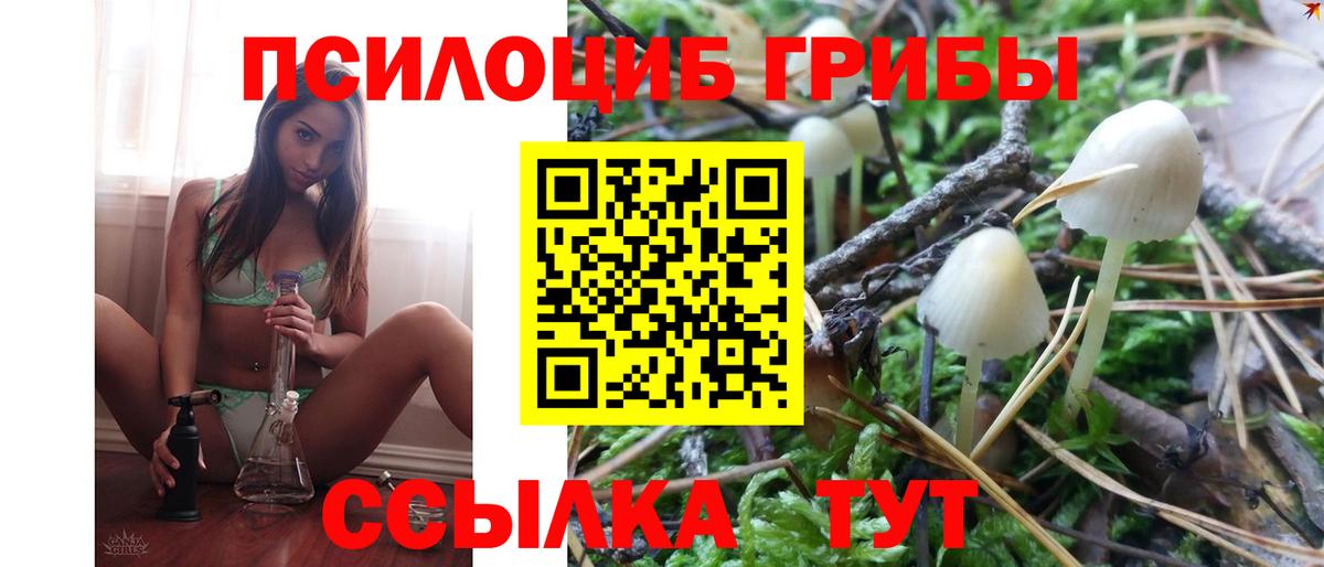 Псилоцибиновые грибы Psilocybine cubensis Югорск